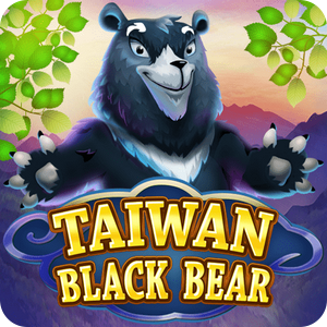 TAIWAN BLACK BEAR
