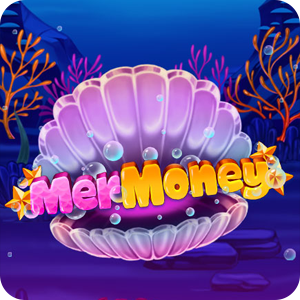 MER MONEY