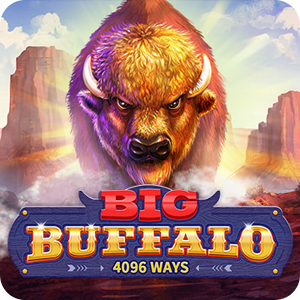 BIG BUFFALO